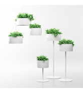 Green Cloud Plant Pots